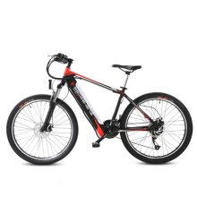 Großhandel 500W Mountain Electric Fahrrad mit Tektro Hydraulischen Bremsen